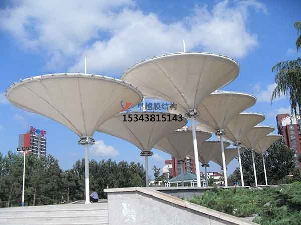 福建PTFE膜結構【生產(chǎn)廠家】