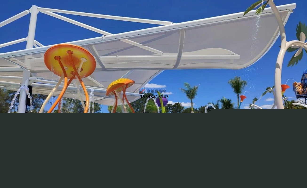 南陽水上樂園膜結構——南陽膜結構公司【專業廠家】